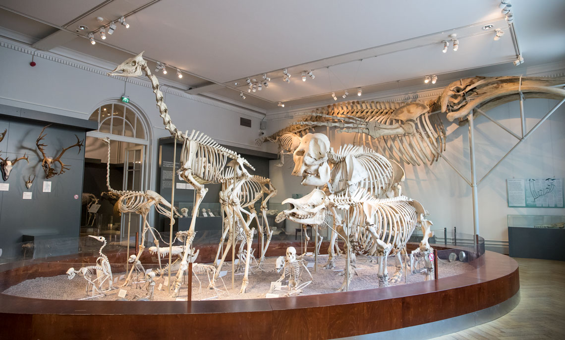 Finnish Museum of Natural History